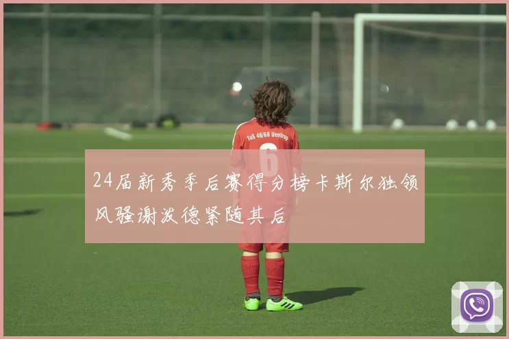 24届新秀季后赛得分榜卡斯尔独领风骚谢泼德紧随其后