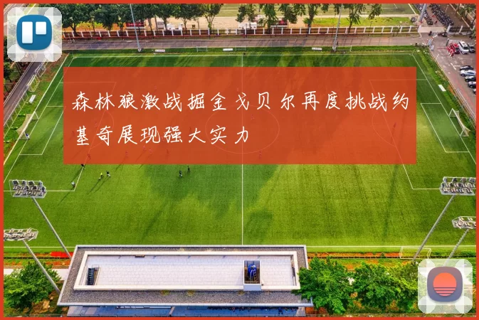 森林狼激战掘金戈贝尔再度挑战约基奇展现强大实力