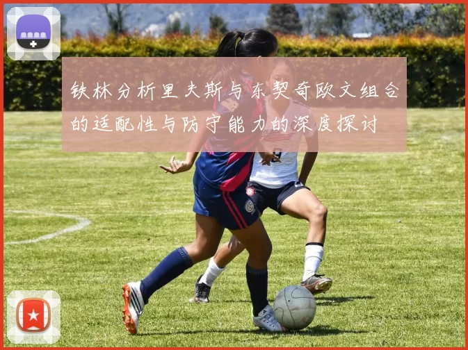 铁林分析里夫斯与东契奇欧文组合的适配性与防守能力的深度探讨